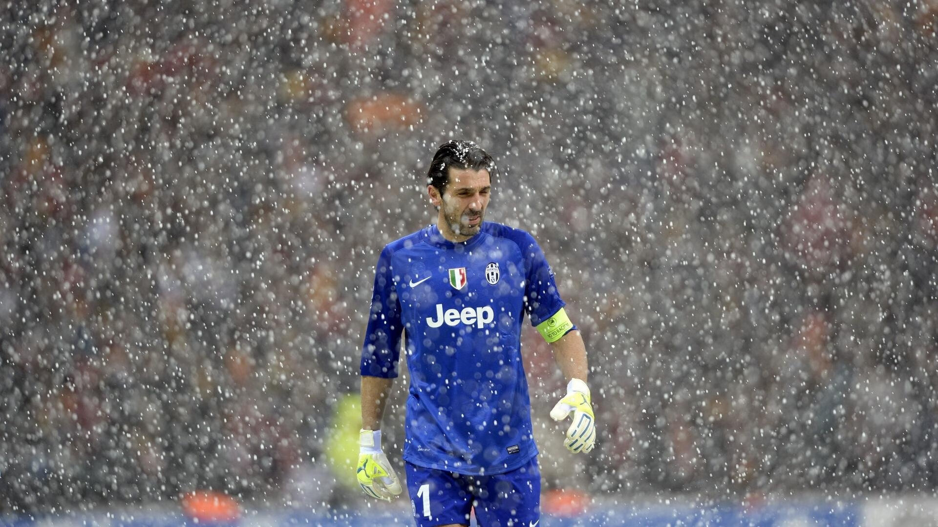 南非男子仰泳节奏稳定，男子仰泳比赛视频